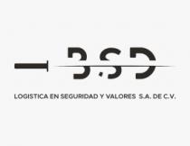 BSD LOGISTICA EN SEGURIDAD Y VALORES