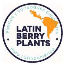 LATIN BERRY PLANTS