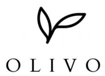 OLIVO