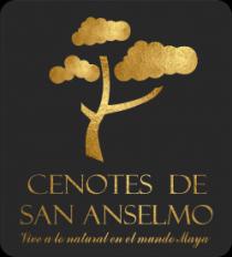 CENOTES DE SAN ANSELMO 