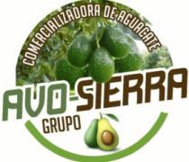 COMERCIALIZADORA DE AGUACATE AVO SIERRA GRUPO