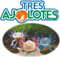 TRES AJOLOTES
