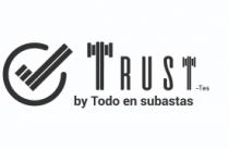 TRUST-TES BY TODO EN SUBASTAS