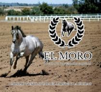 EL MORO CALIDAD Y ESTILO PARA EL MONTE Y LA CIUDAD