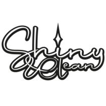 SHINY & CLEAN