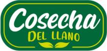 COSECHA DEL LLANO