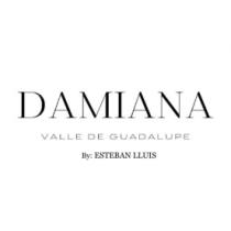 DAMIANA VALLE DE GUADALUPE BY; ESTEBAN LLUIS