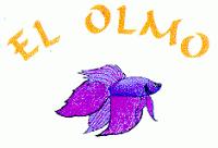 EL OLMO