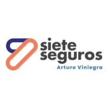 SIETE SEGUROS ARTURO VINIEGRA