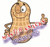 MASTER SNACKS 