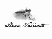 LLANO VALIENTE