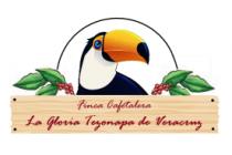 FINCA CAFETALERA LA GLORIA TEZONAPA DE VERACRUZ