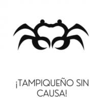 ¡TAMPIQUEÑO SIN CAUSA!