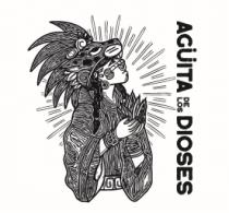 AGÜITA DE LOS DIOSES