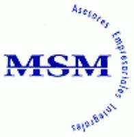 MSM ASESORES EMPRESARIALES INTEGRALES