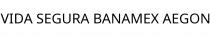 VIDA SEGURA BANAMEX AEGON