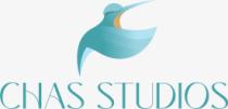 CHAS STUDIOS