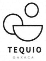 TEQUIO OAXACA