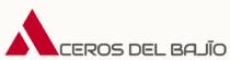 ACEROS DEL BAJÍO