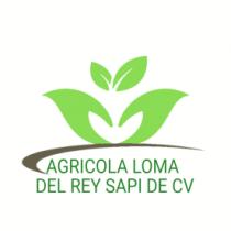 AGRICOLA LOMA DEL REY SAPI DE CV