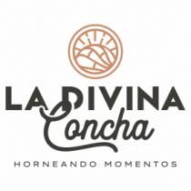 LA DIVINA CONCHA HORNEANDO MOMENTOS