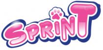 SPRINT