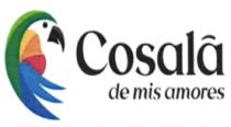 COSALA DE MIS AMORES