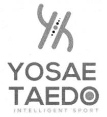 YOSAE TAEDO INTELLIGENT SPORT