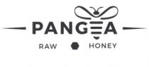 PANG = A RAW HONEY