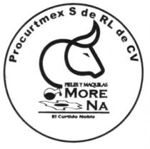 PIELES Y MAQUILAS MORENA