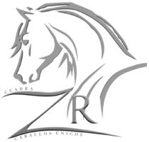 CUADRA ZR CABALLOS ÚNICO