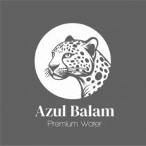 AZUL BALAM PREMIUM WATER