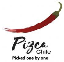 PIZCA CHILE PICKED ONE BY ONE