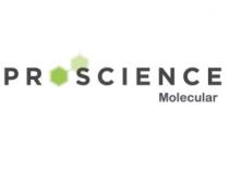 PROSCIENCE MOLECULAR
