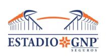 ESTADIO GNP SEGUROS