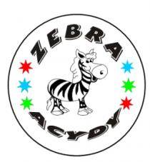 CALZADO ZEBRA ACYDY