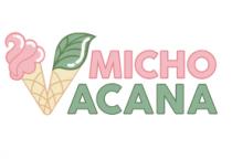 V MICHOACANA