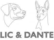 LIC & DANTE