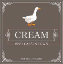 CREAM BEST CAFÉ IN TOWN