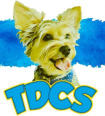 TDCS
