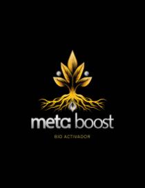 META BOOST