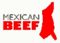 MEXICAN BEEF