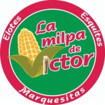 LA MILPA DE VICTOR