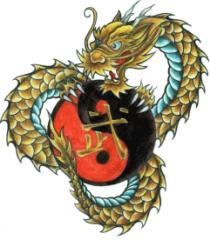 DRAGON DE ORO WUSHU KUNG FU