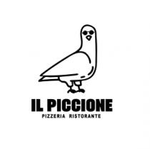 IL PICCIONE