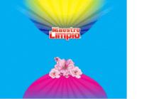 MAESTRO LIMPIO