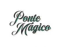 PONTE MAGICO