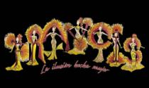 FRANCIS LA ILUSIÓN HECHA MUJER