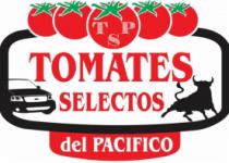 TSP TOMATES SELECTOS DEL PACIFICO