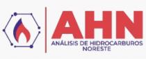 AHN ANALISIS DE HIDROCARBUROS NORESTE